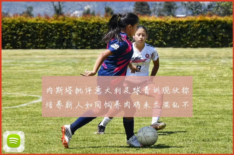内斯塔批评意大利足球青训现状称培养新人如同饲养肉鸡米兰混乱不堪