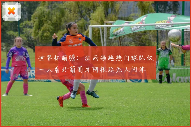 世界杯前瞻：法西领跑热门球队仅一人看好葡萄牙阿根廷无人问津